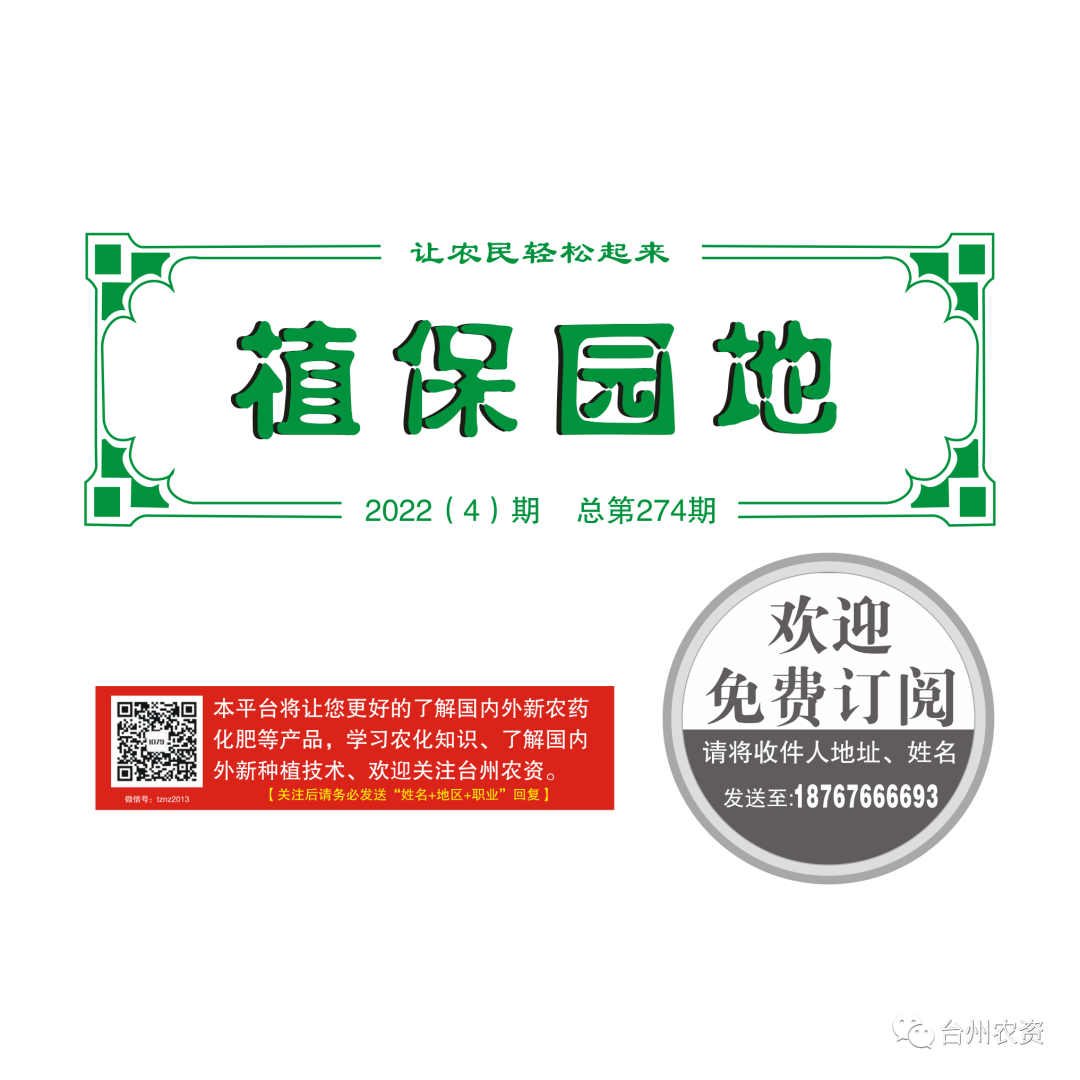 氣溫驟降，大棚西瓜做好以下幾點(diǎn)工作