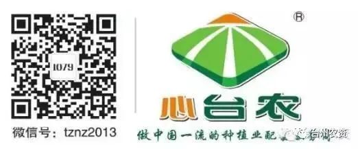 果實(shí)接近成熟，警惕柑橘表面各種油胞病